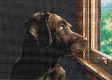 70-65104 Задумчивый щенок (Pondering Pup), Dimensions