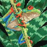 71-7234 Красноглазая древесная лягушка (Red-Eyed Leaf Frog), Dimensions