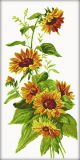 M080 Подсолнухи (Sunflowers), RTO