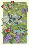 35223 Лес бабочек (Butterfly Forest), Dimensions