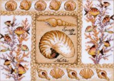 65089 Ракушки Наутилус (Nautilus Shells), Dimensions