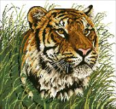 SP-485 Уссурийский тигр, Алмазная Мозаика