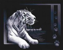 Ж-0277 Белый тигр, PANNA