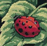 07170 Божья коровка (Ladybug, Ladybug), Dimensions