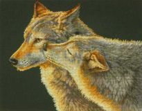 70-35283 Волчий поцелуй (Wolf Kiss), Dimensions