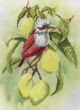 РК-301 Птичка на ветке лимона, МП Студия