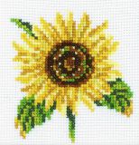H170 Подсолнух (Sunflower), RTO