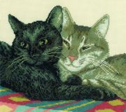 M105 Кошачьи нежности (Cat tenderness), RTO