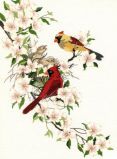01516 Кардиналы в хмеле (Cardinals in Dogwood), Dimensions