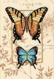 06234 Дуэт бабочек (Butterfly Duo), Dimensions