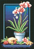 Ц-0223 Великолепные орхидеи, PANNA