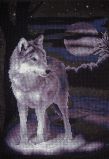 Ж-0462 Белый волк, PANNA