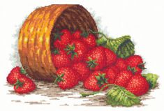 55-08 Сладка ягода, Чудесная Игла