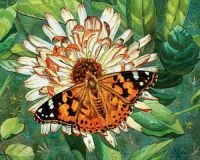 1205 Бабочка на цветке, Алмазная Мозаика