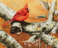 СВ4008 Красный кардинал, Нова Слобода