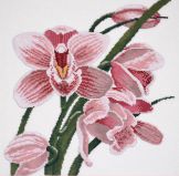 762 Зов орхидеи, Овен