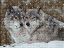 B2291 Два волка, Luca-S