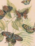 M70012 Царство бабочек (Butterfly Kingdom), RTO