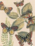 M70013 Царство бабочек (Butterfly Kingdom), RTO