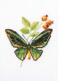 EH363 Веточка шиповника и бабочка (Briar and butterfly), RTO