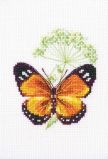 EH365 Цветок тмина и бабочка (Caraway and butterfly), RTO