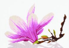 PN-0008304 Веточка с цветком магнолия (Magnolia Twig With Flower), Lanarte