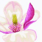 PN-0008305 Цветок магнолии (Magnolia Flower), Lanarte