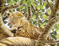 PN-0008329 Леопард из Серенгети (Serengeti leopard), Lanarte