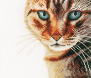 PN-0021220 Кошка крупным планом (Cat Close-Up), Lanarte