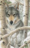 03228 Зимний волк (Wintry Wolf), Dimensions