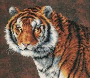 03236 Тигр (Tiger), Dimensions