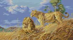 03866 Африканские львы (African Lions), Dimensions