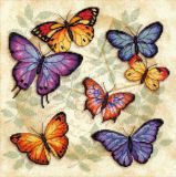 35145 Множество бабочек (Butterfly Profusion), Dimensions