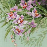 1401 Тропические орхидеи, Риолис