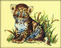 R112 Леопардик (Leopard Cub), RTO