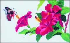 R250 Китайская роза в цвету (The Hibiscus in Bloom), RTO