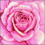 C070 Розовая роза (Pink Rose), RTO