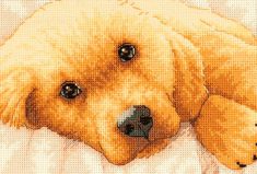 65038 Золотой щенок (Petite Golden Puppy), Dimensions
