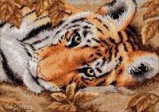 65056 Притягательный тигр (Beguiling Tiger), Dimensions