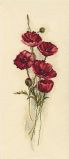 M449 Восточные маки (Oriental poppies), RTO