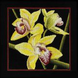 M264 Орхидеи "Цимбидиум" (Orchids "Cymbidium"), RTO