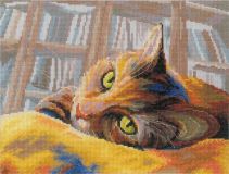 M270 Кот-книголюб (Book loving cat), RTO