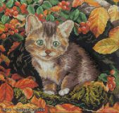 M271 Осенний котенок (Autumn Kitten), RTO