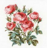 1046 Садовые розы, Риолис