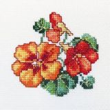 H244 Настурция (Nasturtium), RTO