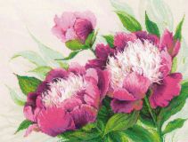 100/039 Набор для вышивки крестом "Розовые пионы", Риолис