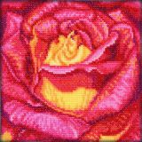 C069 Красная роза (Red Rose), RTO