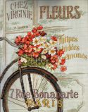 35195 Парижский велосипед (Parisian Bicycle), Dimensions