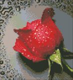 SP-014 Красная Роза, Алмазная Мозаика