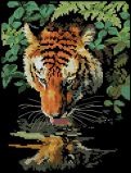 06961 Отражение тигра (Tiger Reflection), Dimensions